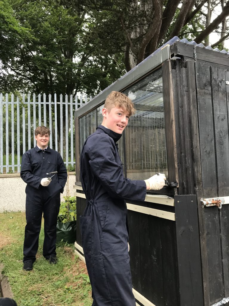 Student painting the greenhouse
